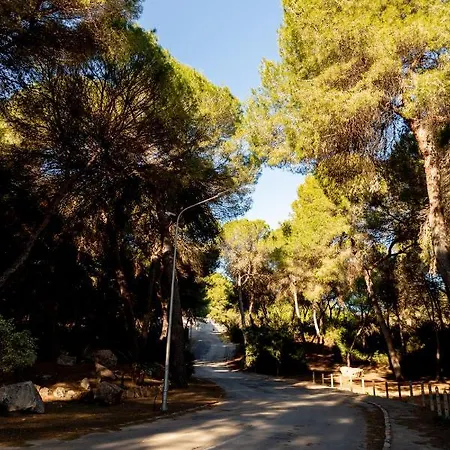 Open View Pinetree Penthouse Apartamento